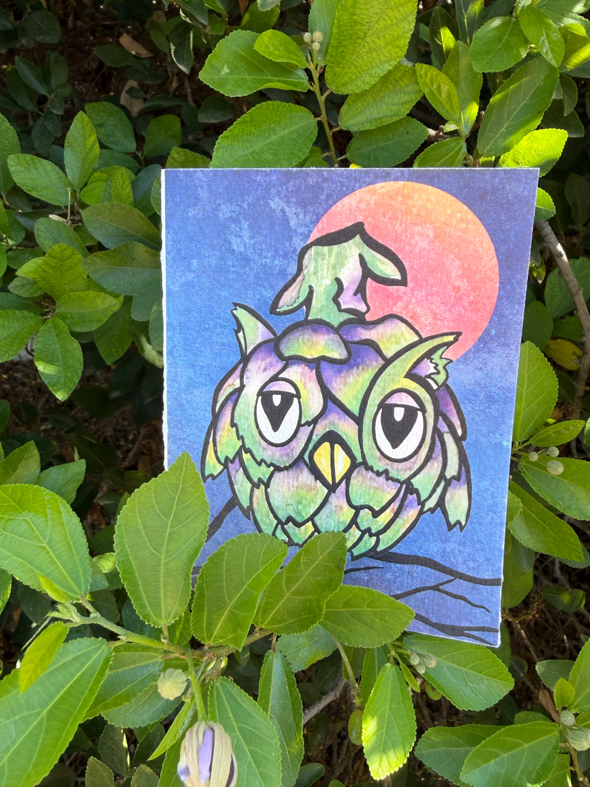 Halloween Greeting Cards