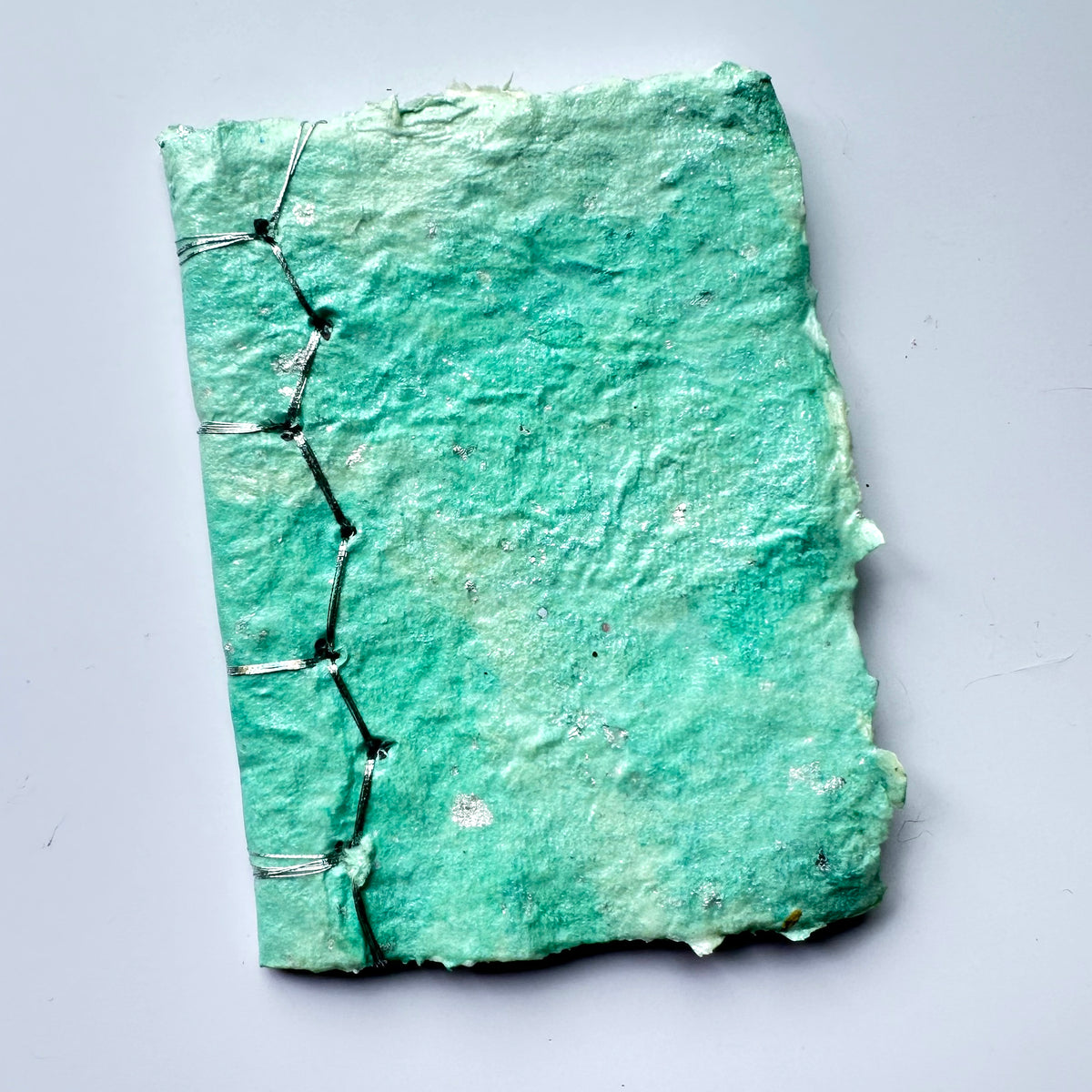 Mint Dragonskin Journal 3x4&quot;