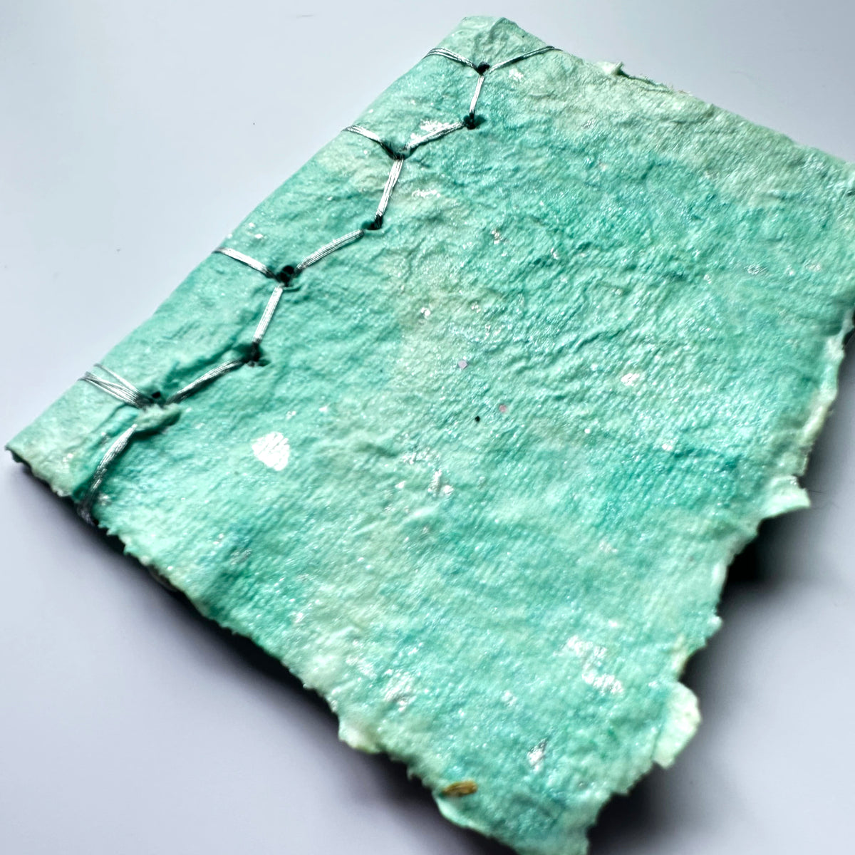 Mint Dragonskin Journal 3x4&quot;