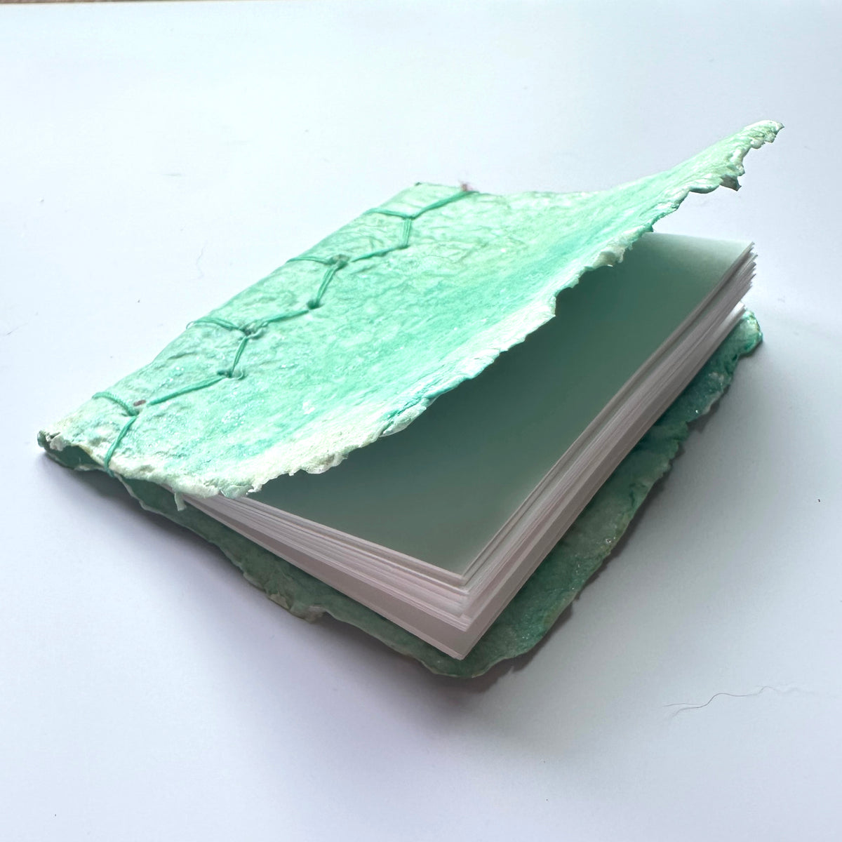 Mint Dragonskin Journal 3x4&quot;