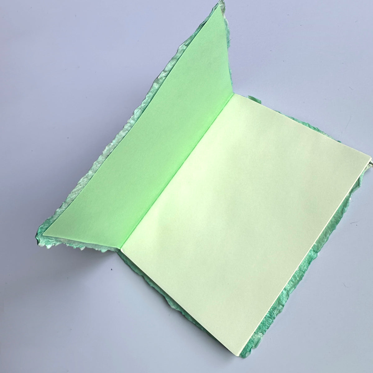 Mint Dragonskin Journal 4x6&quot;