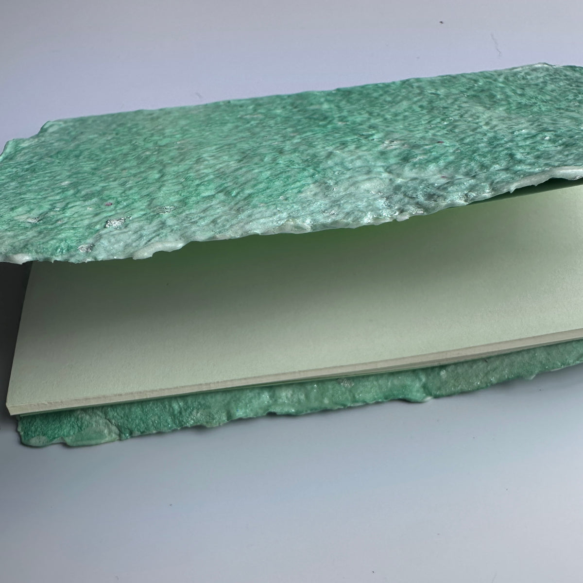 Mint Dragonskin Journal 4x6&quot;