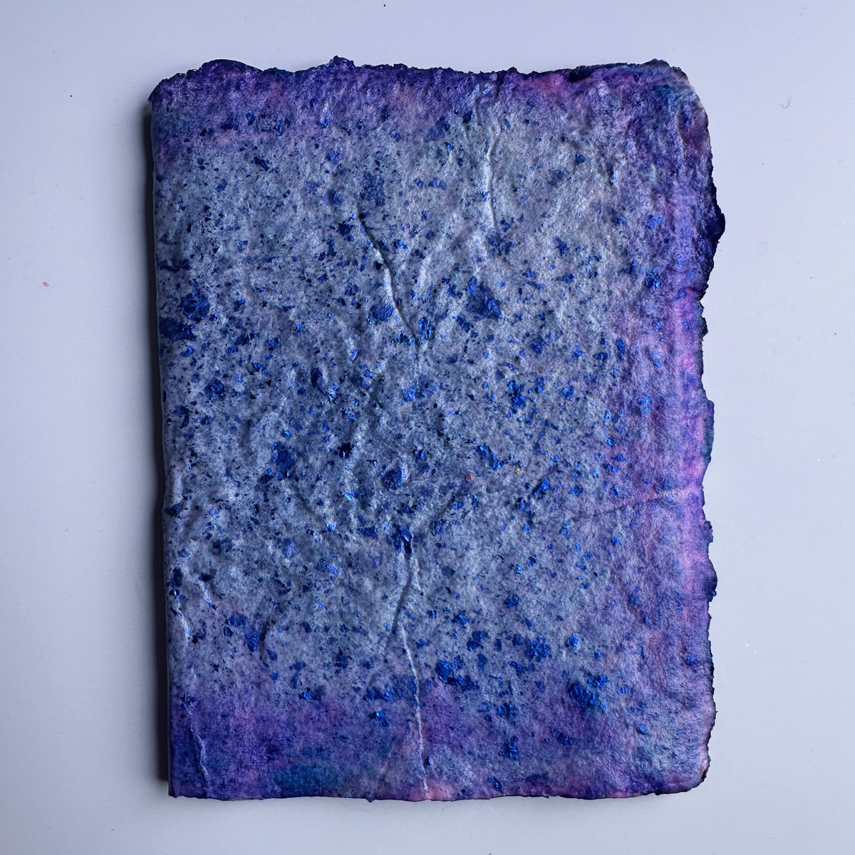 Water Dragonskin Journal 4x6&quot;