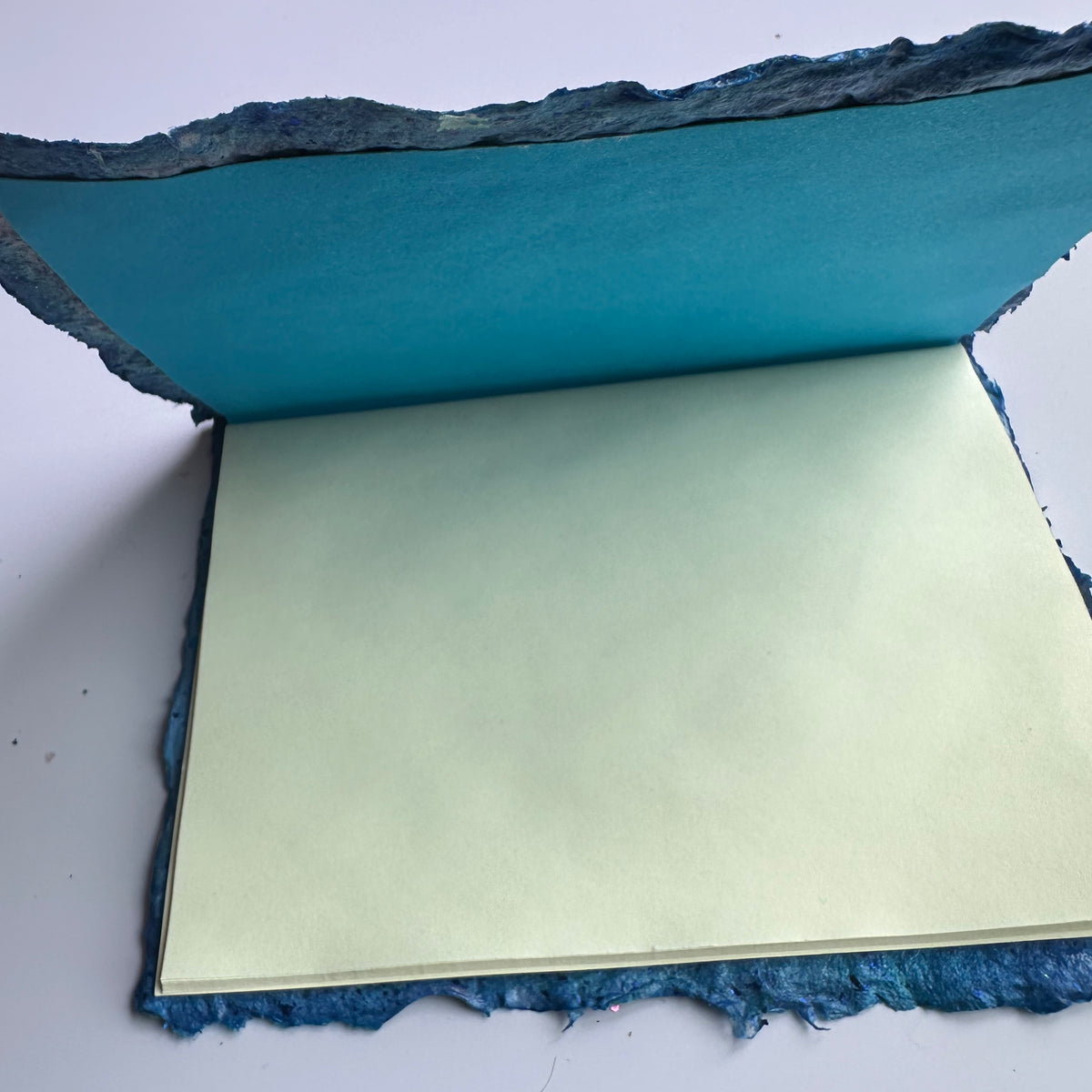 Water Dragonskin Journal 4x6&quot;