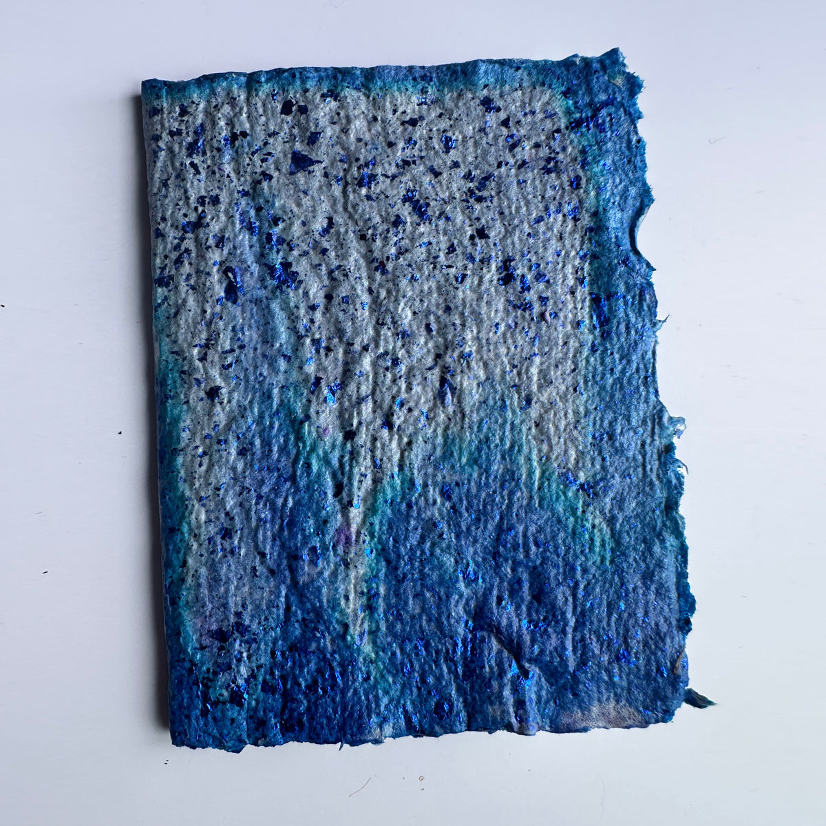 Water Dragonskin Journal 4x6&quot;